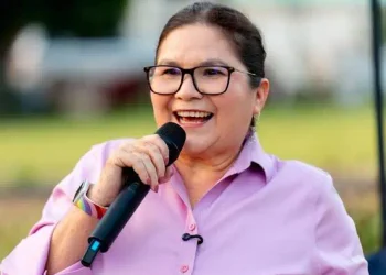 Imelda Castro asume coordinación estatal de Morena en Sinaloa