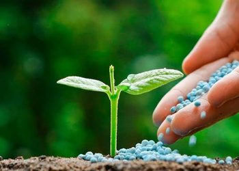 México busca reducir la importación de fertilizantes con producción nacional
