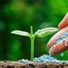 México busca reducir la importación de fertilizantes con producción nacional