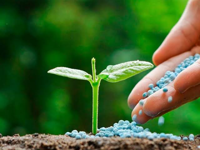 México busca reducir la importación de fertilizantes con producción nacional